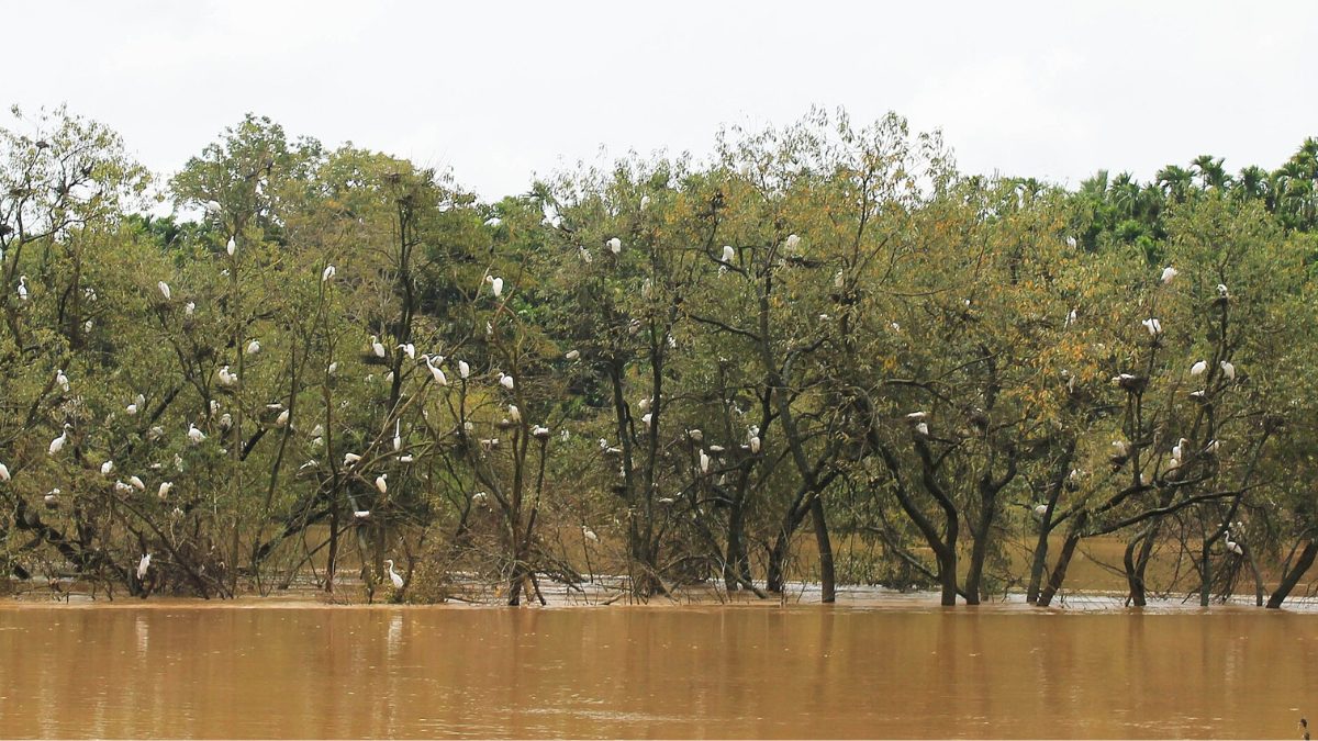 Chikkamagaluru’s Bhadra Backwaters To Get A ₹10 Crore Resort With Cottages, Water Sports & A Theme Park!