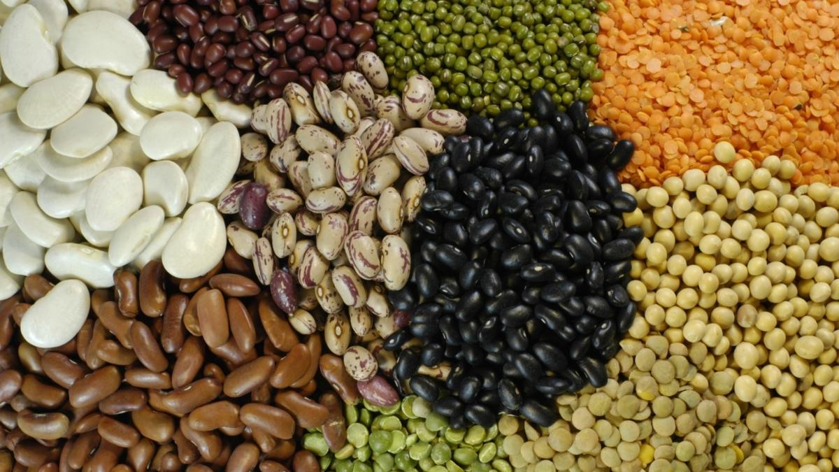 Union Budget 2025: FM Nirmala Sitharaman Announces Atmanirbharta In Pulses And Other Major Agricultural Schemes; What Are They And How Will They Help Farmers?