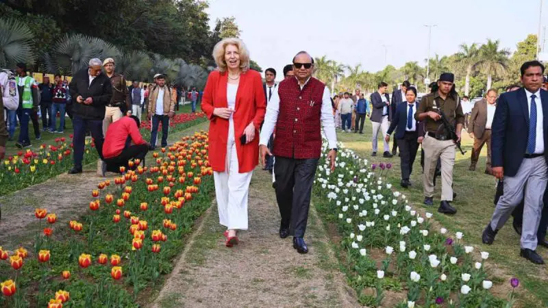 delhi tulip festival