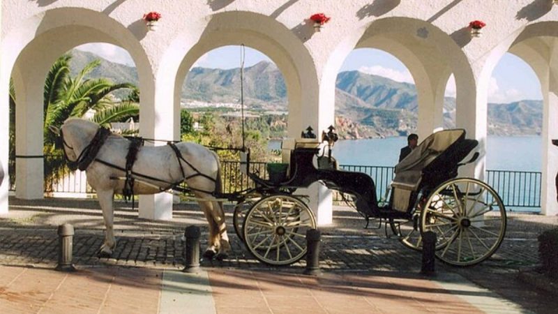 malaga horse carriages