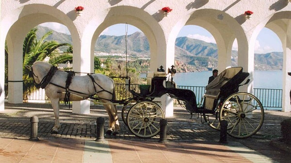 Malaga In Spain Bans Iconic Horse Carriages For Tourists; Here’s Why