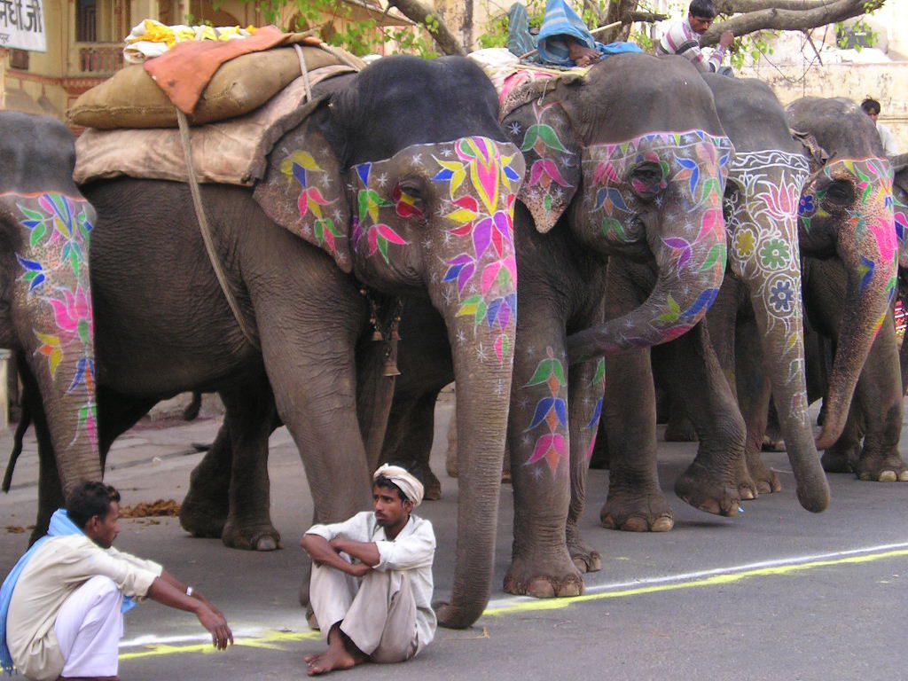 elephant festival