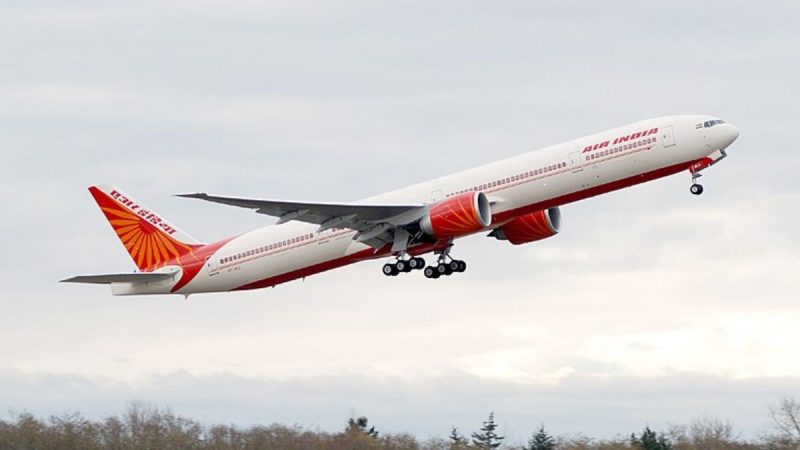 Air India Trainer Pilot