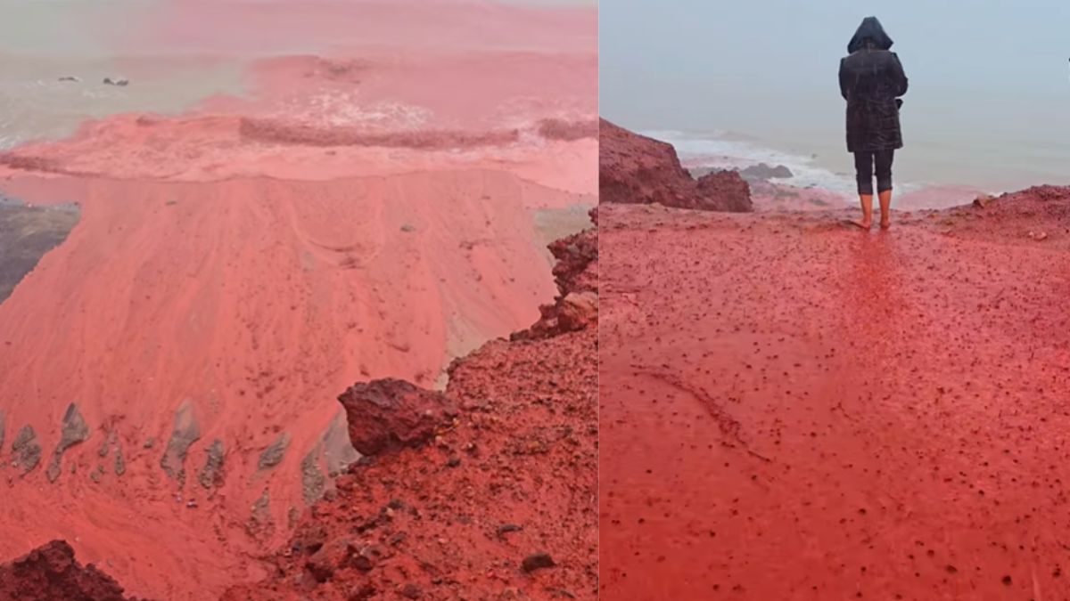 Blood Rain In Iran Turns Beach Red, Leaving Tourists In Awe. What’s Behind This Rare Phenomenon?