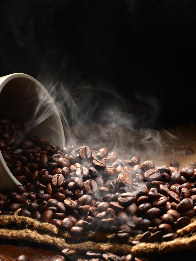 Arabica Vs Robusta: 8 Key Differences Between These Coffee Beans