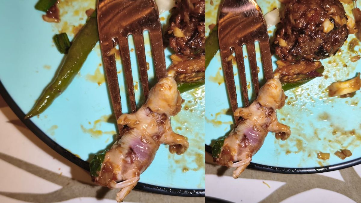 Dead Rat In Food At Airoli’s Purple Butterfly Restaurant Turns Women’s Day Dinner Into A Nightmare