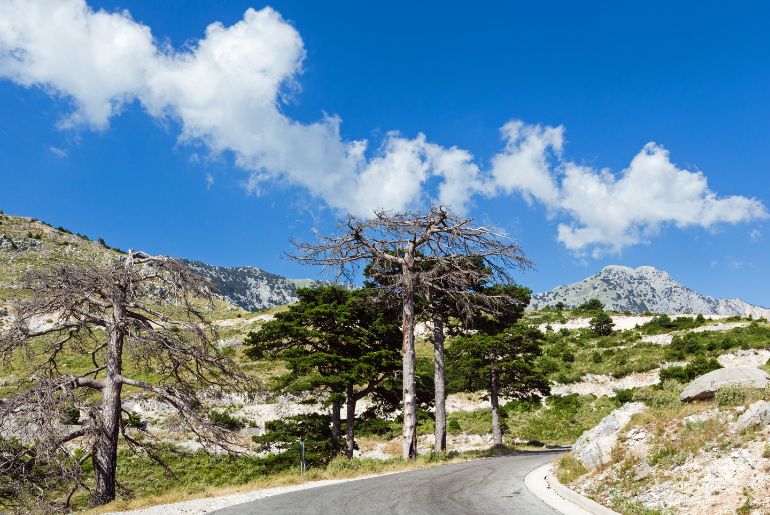 Llogara Pass