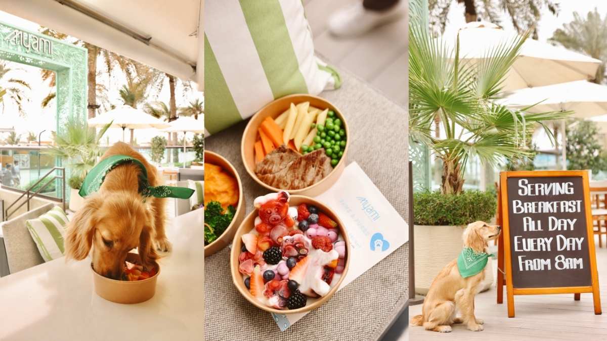 Palm West Beach’s First Pet-Friendly Menu Lands At This Dubai Restaurant & It Sounds Pawsome!