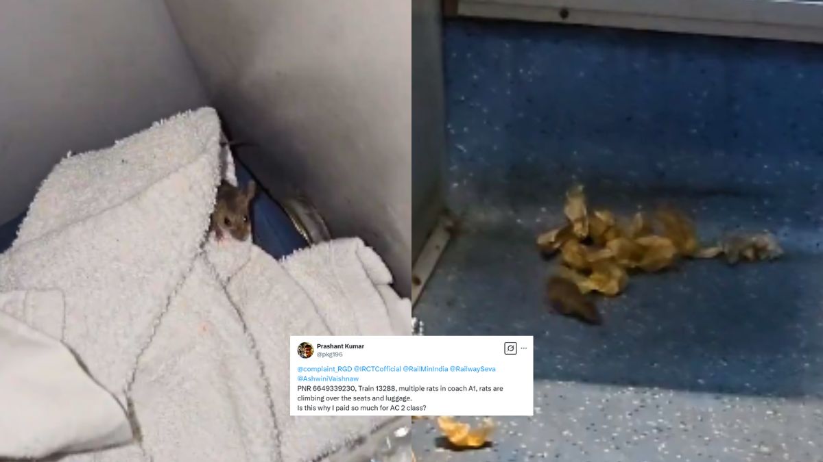 “Paid Over 3k For Rat Infested Train,” Man Shares Video Of Rats In Train’s AC Coach; Netizens React