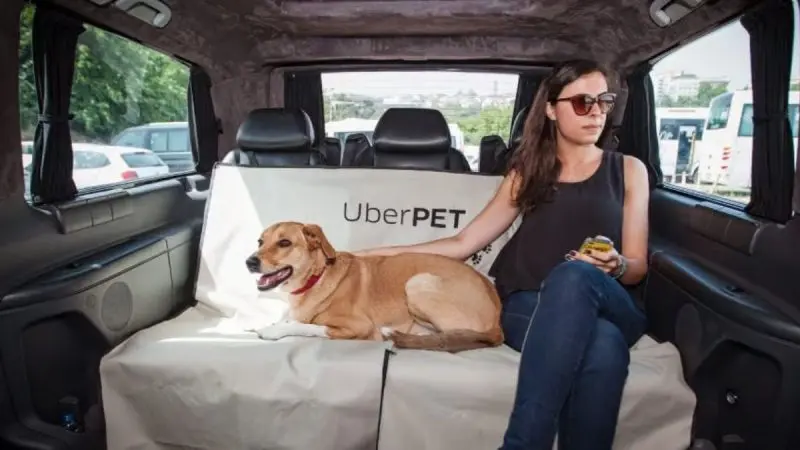 Uber Pets