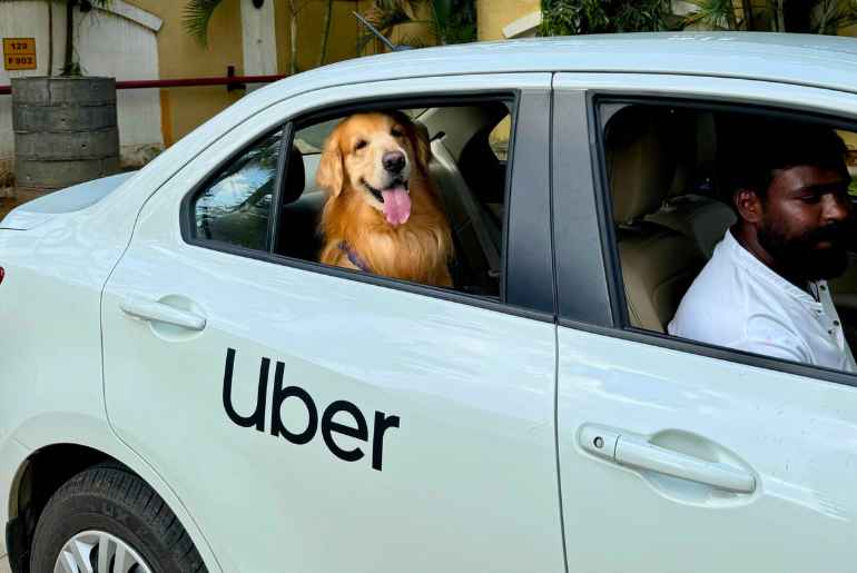 Uber Pets 