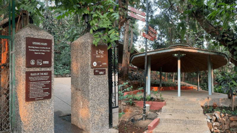 The Nest, Malabar Hill