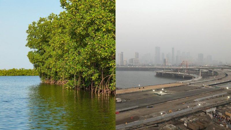 mumbai coastal road