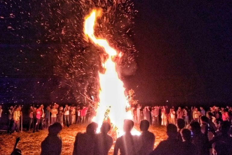 elephant festival