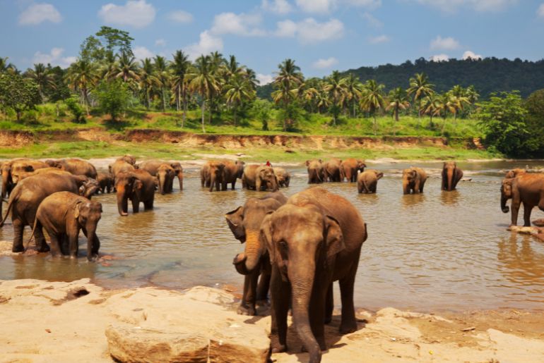 Sri Lanka Itinerary