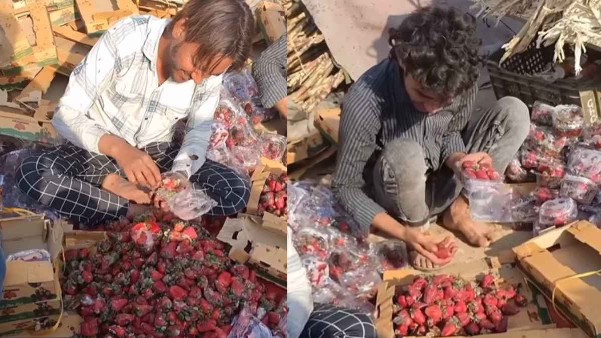 “Food Safety Ka Itna Bura Haal Hai India Mein,” Viral Video Shows Fungus-Filled Strawberries Repackaged For Sale