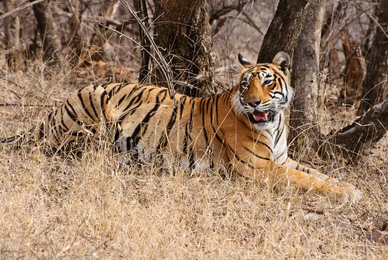 Madhav Tiger Reserve