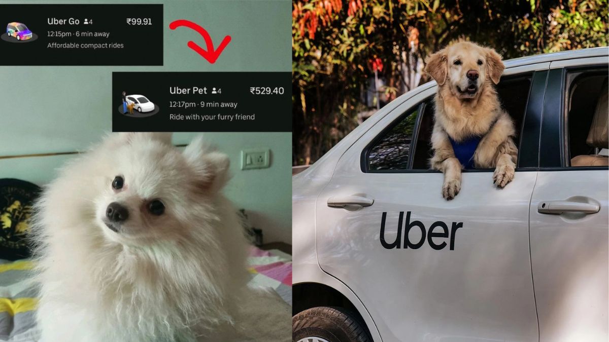 “Uber Cab Costs ₹100, Uber Pets Costs ₹530 For 2kms,” Claims Gurugram Woman; Netizens Divided