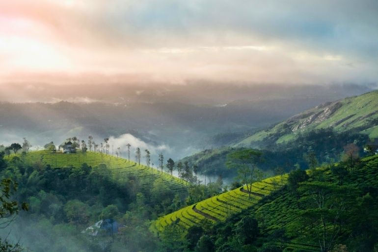 God's own country