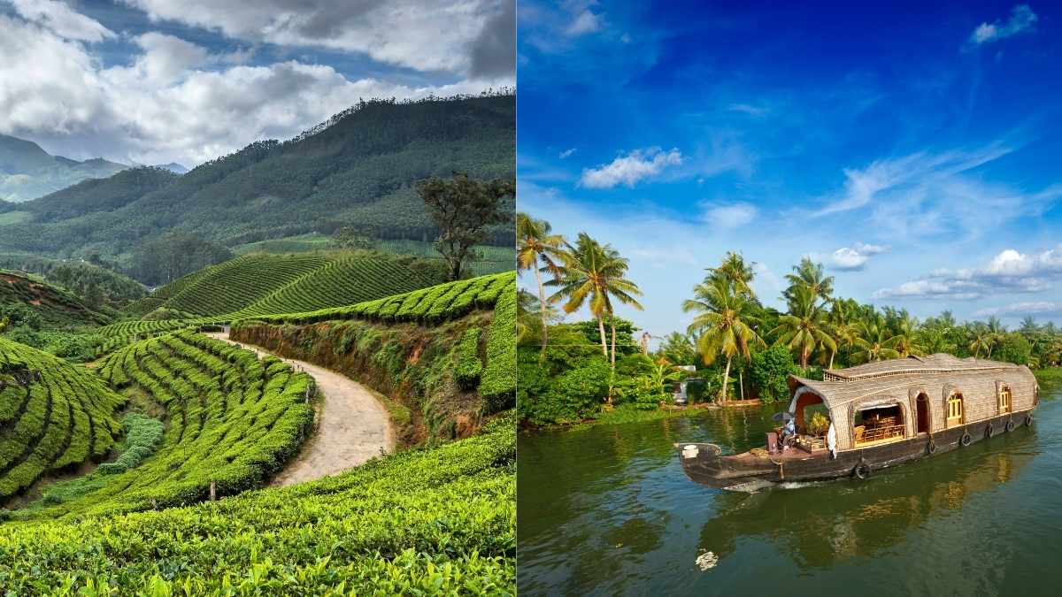 Kerala 7-Day Itinerary: Where To Go, What To See, Budget And More