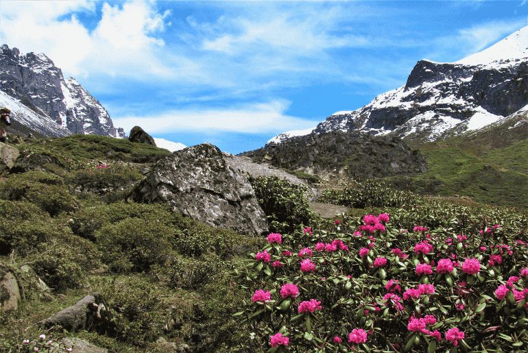 Northeast India