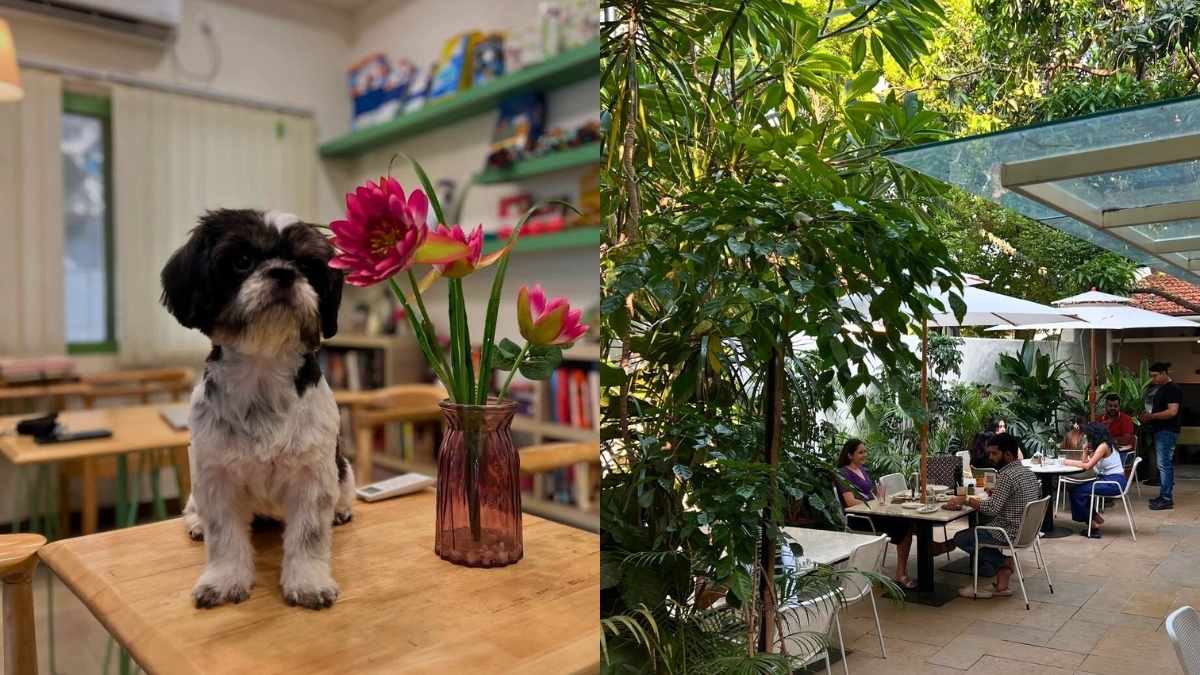 7 Pet-Friendly Cafés In Bangalore With Spacious Play Areas And Delicious Pet Treats