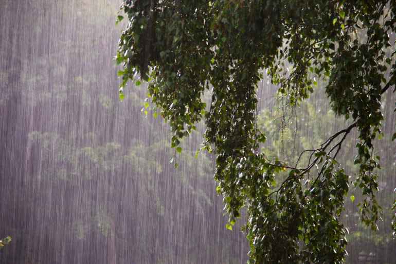 Mumbai rain