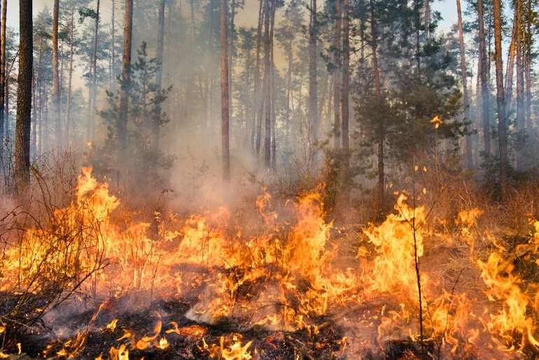 Canada wildfires