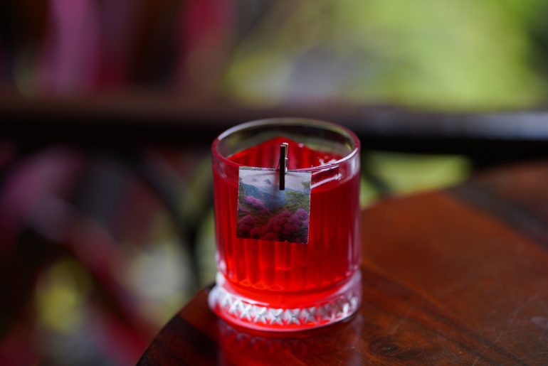 cocktail day recipes