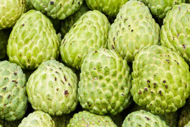 Balanagar custard apple