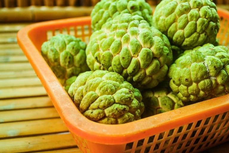 Balanagar custard apple