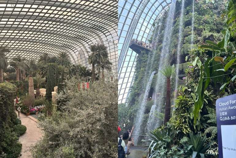 Gardens by the bay
