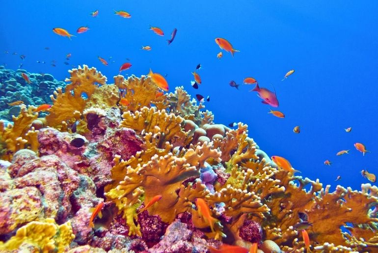 Gili islands