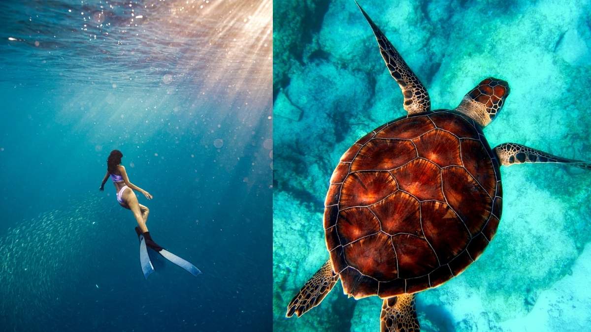 The Gili Islands Offer Underwater Marvels, From Sculptures To Coral Wonderlands