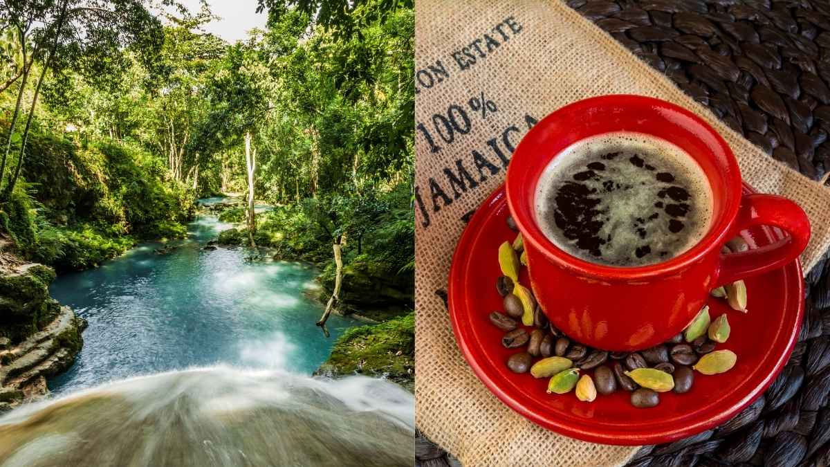 Jamaica Ranked Among Top Global Destinations For Culture, Cuisine, And Honeymoons In 2025