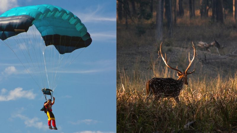 Madhya Pradesh adventure