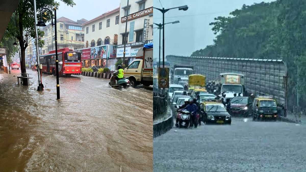 Monsoon Is Here Early, Maharashtra Sees Earliest Monsoon Onset In 35 Years: IMD