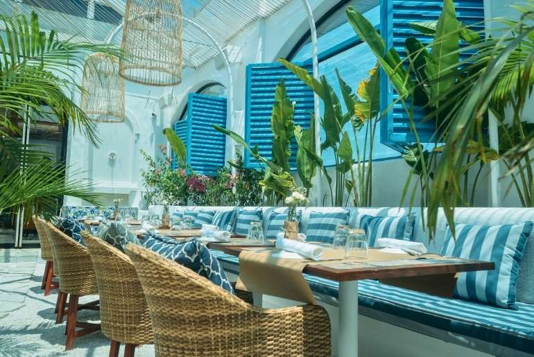 Olive Café & Bar