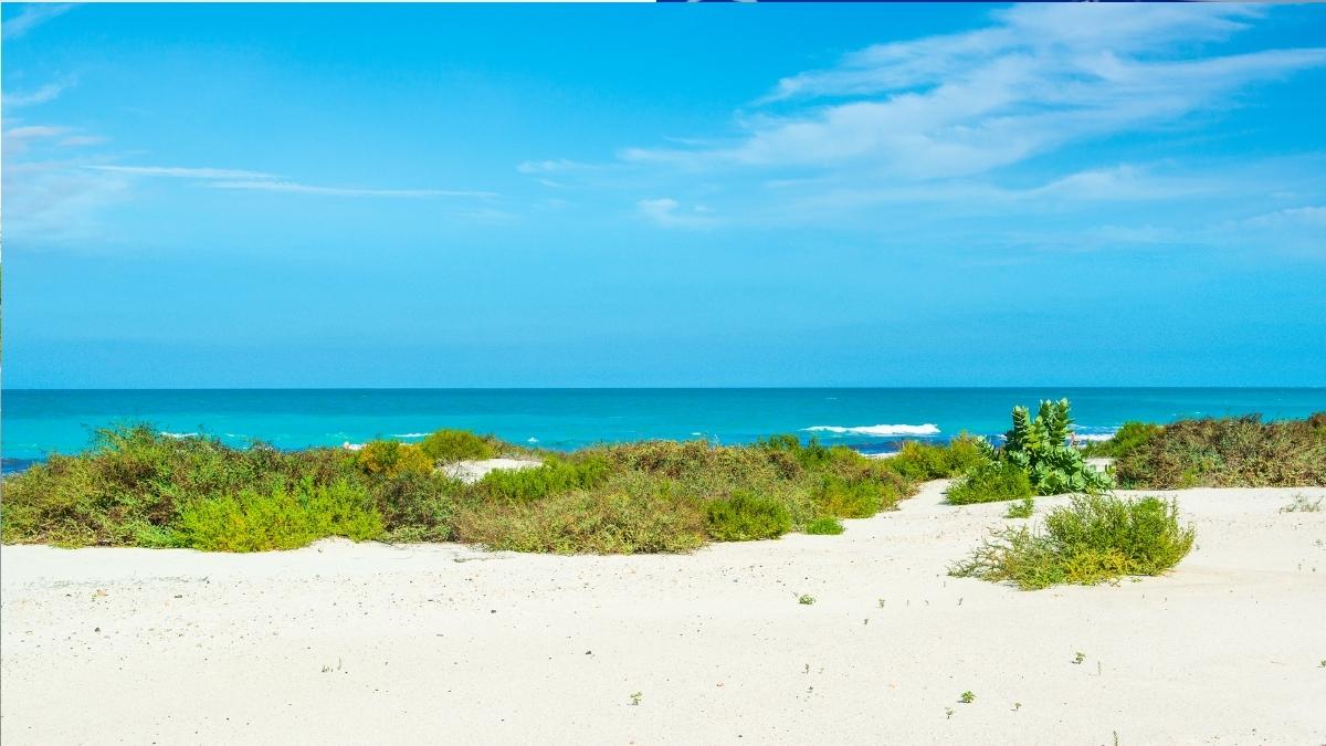 UAE’s Saadiyat Beach Makes It To The World’s Top 50 Beaches & First Spot Goes To…