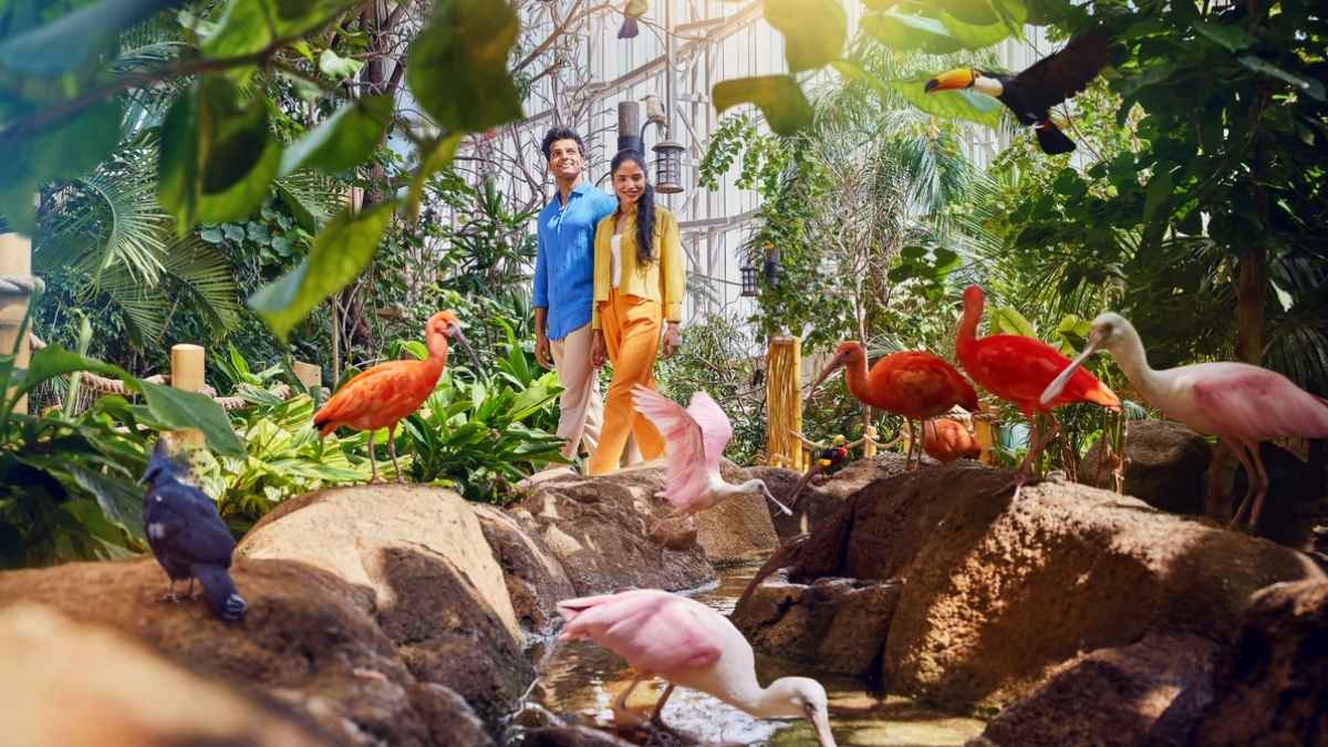 What Is SeaWorld’s SeaBloom Celebration Happening For The First Time This May In Abu Dhabi?