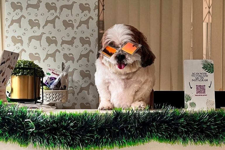 Pet-friendly cafe in Bangalore