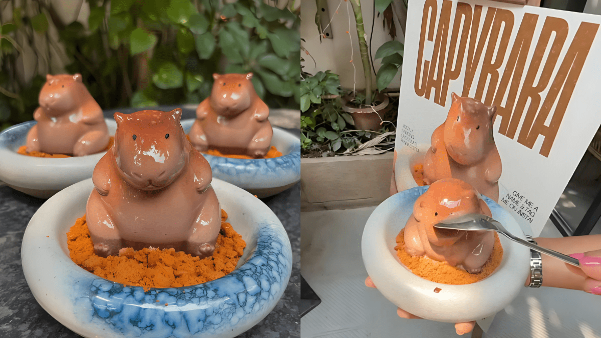 Korea’s Famous Capybara Panna Cotta Arrives In Chennai And It’s Winning The Internet’s Heart