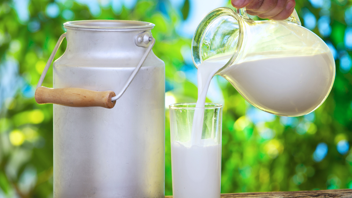 One In Three Indians Drinks Milk Daily, Study Finds, Despite Price Hikes And Intolerance