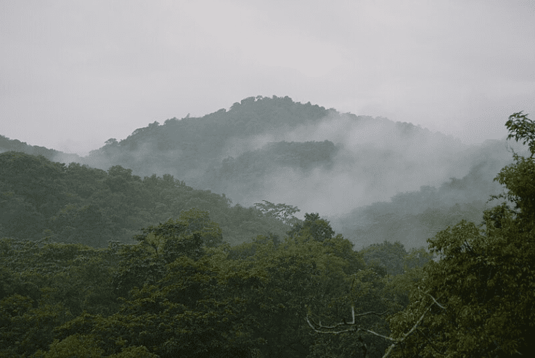 Yeor Hills
