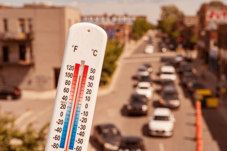 Delhi Heat