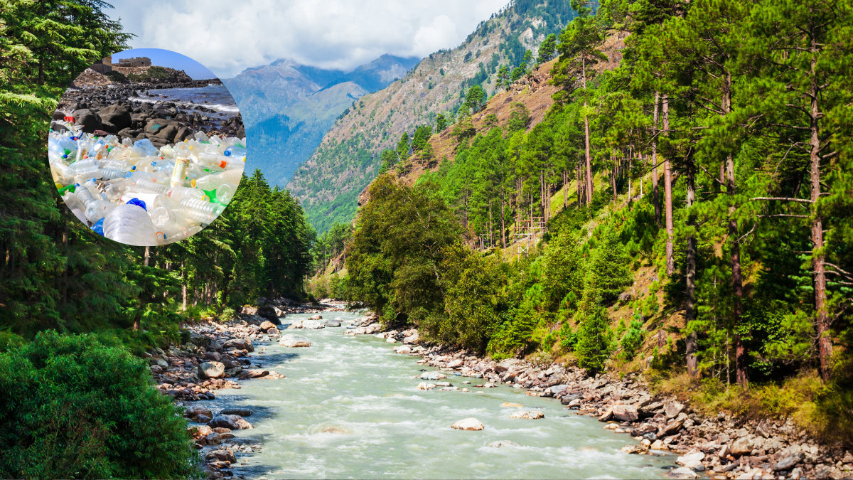 Grahan Trail In Himachal Pradesh Drowns In Plastic: Parvati Valley Locals Demand Immediate Action
