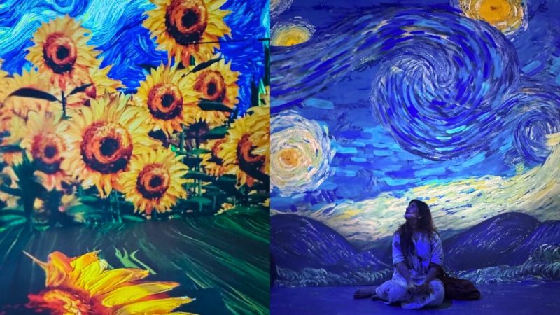 Van gogh delhi