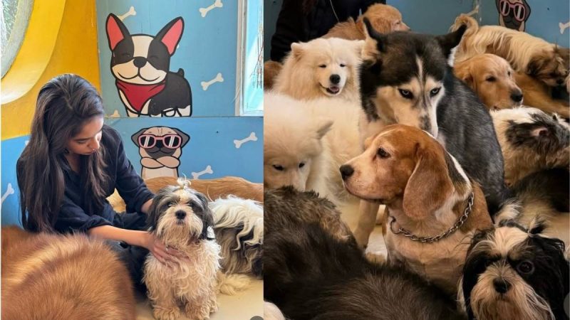 Pet-friendly Cafes in Mumbai