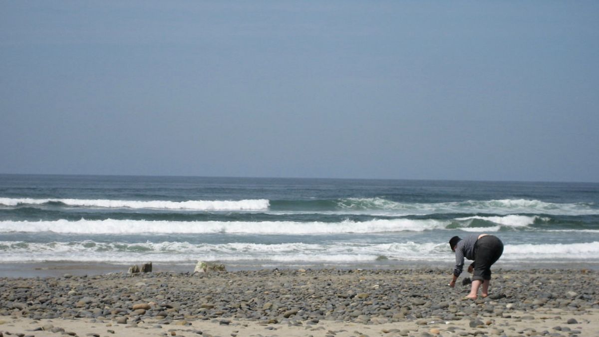 What Are Nurdles And How Did They End Up Washing Ashore In Kerala?