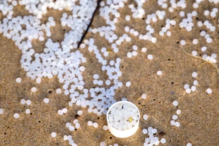 nurdles in Kerala